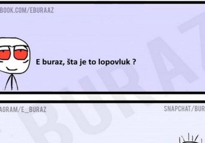 E buraz, šta je to lopovluk ?