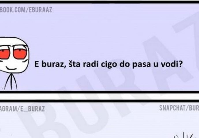 E buraz, šta radi cigo do pasa u vodi ?