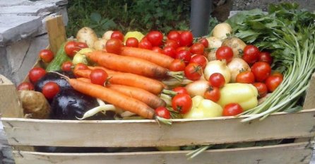 Šoše Ćušić: Eko poljoprivreda pridonosi boljem zdravlju ljudi