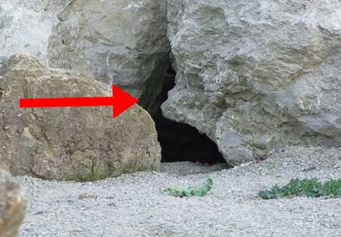 Postavili su kameru ispred pećine: ONO ŠTO SU SNIMILI OSTAVIT ĆE VAS BEZ RIJEČI! (VIDEO