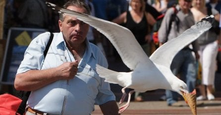 19 ljudi koji su definisali šta znači riječ "baksuz" ! Broj 10 morate vidjeti.