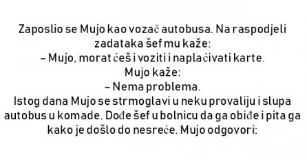 VIC : Zaposlio se Mujo kao vozač autobusa.