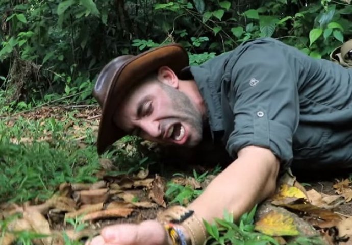 Dopustio da ga ugrize mrav čiji je ubod najbolniji na svijetu, a onda snimak objavio na YouTubeu (VIDEO)