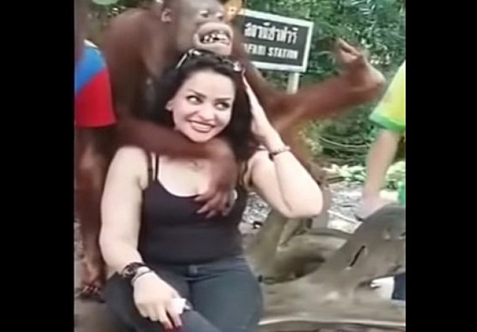 Djevojka je htjela da se slika pored dva majmuna u zoološkom vrtu: Nije ni sanjala da će joj uraditi OVO! (VIDEO)