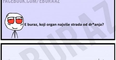 E buraz, koji organ najviše strada od dr*anja ?