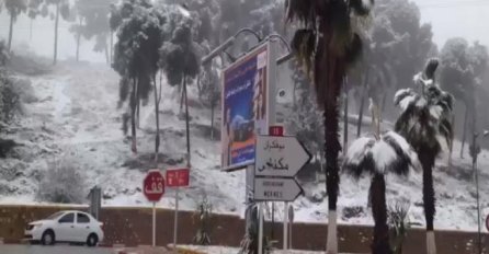 U ZEMLJI GDJE UVIJEK PRŽI SUNCE PAO SNIJEG: Zabijelile se palme, temperature ispod nule