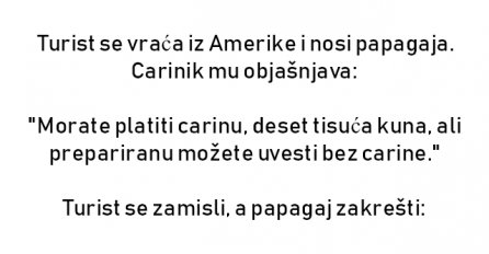 VIC :  Turist se vraća iz Amerike i nosi papagaja.