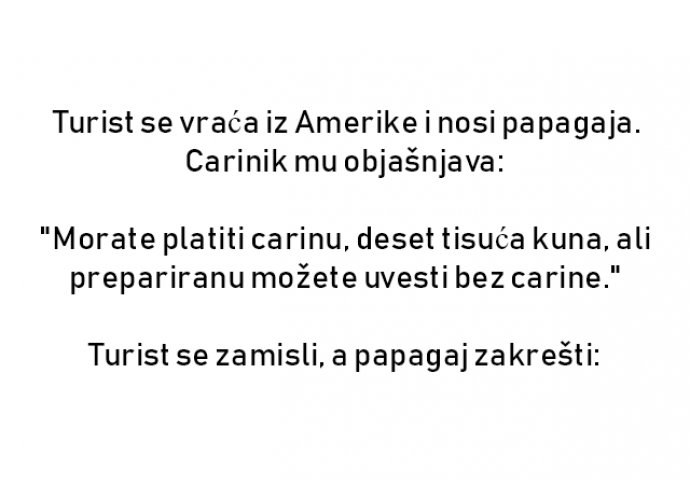 VIC :  Turist se vraća iz Amerike i nosi papagaja.