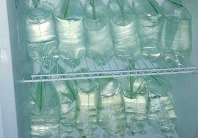 STAVITE NEKOLIKO VREĆICA VODE U FRIŽIDER I RIJEŠITE VELIKI PROBLEM: Ljudi masovno dijele ove savjete