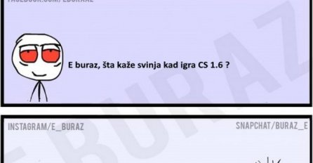 E buraz, šta kaže svinja kad igra CS 1.6?