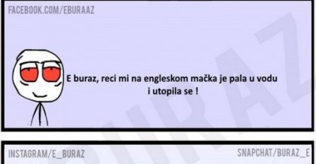 E buraz, reci mi na engleskom mačka je pala u vodu i utopila se !