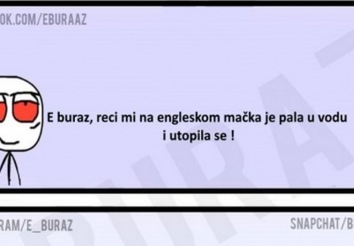 E buraz, reci mi na engleskom mačka je pala u vodu i utopila se !