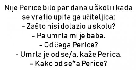 VIC : Nije Perice bilo par dana u školi i kada se vratio upita ga učiteljica: