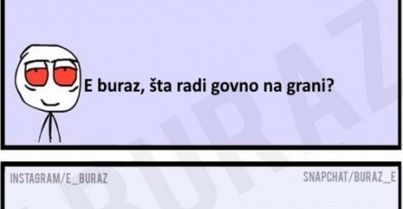 E buraz, šta radi govno na grani?