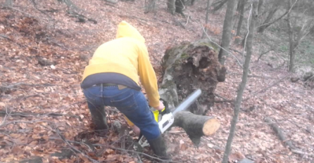 Prekinuli su ga čudni zvuci dok je sjekao drva u šumi, SKAMENIO se kada je ugledao OVO!