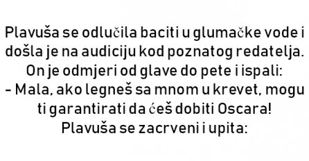 VIC : Plavuša se odlučila baciti u glumačke vode i došla je na audiciju kod poznatog redatelja.