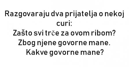 VIC : Razgovaraju dva prijatelja o nekoj curi: