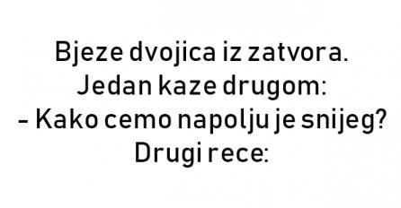 VIC : Bjeze dvojica iz zatvora. 