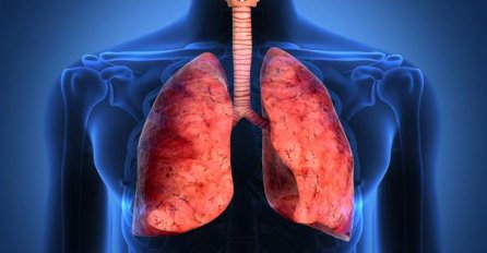 NAJZDRAVIJA METODA: Pomoću OVIH NAMIRNICA očistite pluća od nikotina i SMANJITE RIZIK OD RAKA!