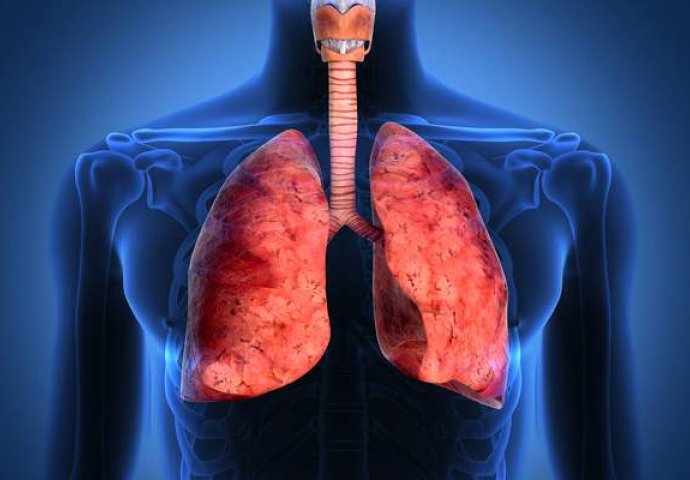 NAJZDRAVIJA METODA: Pomoću OVIH NAMIRNICA očistite pluća od nikotina i SMANJITE RIZIK OD RAKA!