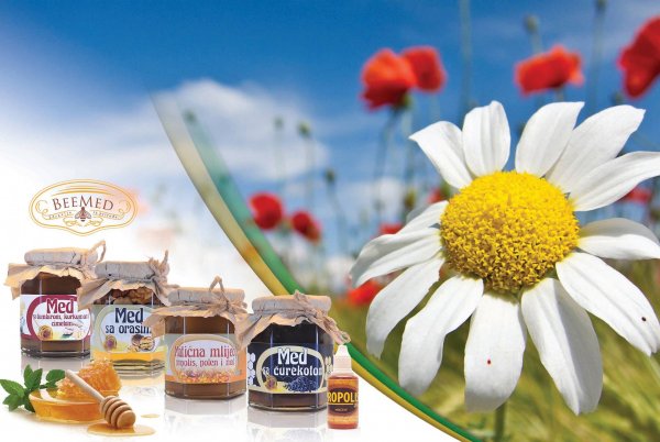 12983944-1899132690313309-8303917538150139753-o