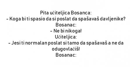 VIC : Pita učiteljica Bosanca: