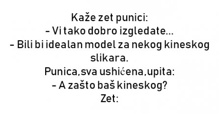 VIC DANA: Punica i zet