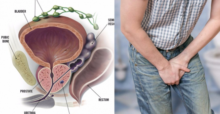 SPAS ZA MUŠKARCE: Napravite ovaj čaj i ZAUVIJEK RIJEŠITE PROBLEME PROSTATE!