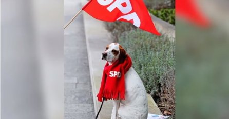 Njemački socijaldemokrati osramoćeni zbog novog člana - psa