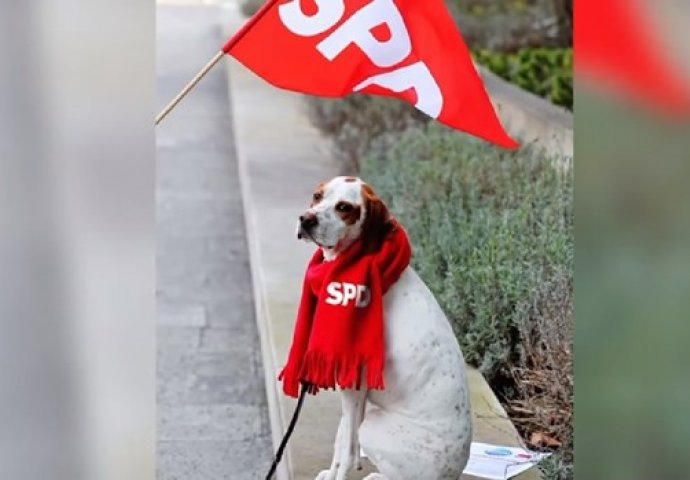 Njemački SPD osramoćen zbog novog člana: ‘PSI NE MOGU GLASOVATI’