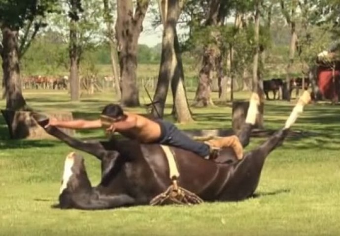 ZOVU GA ŠAPTAČ KONJIMA:  Kada u nastavku vidite šta će sve uraditi ovom konju, UHVATIT ĆETE SE ZA GLAVU (VIDEO) 