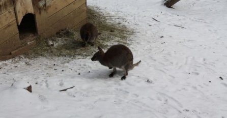 "Pionirska dolina" radi neometano uprkos niskim temperaturama