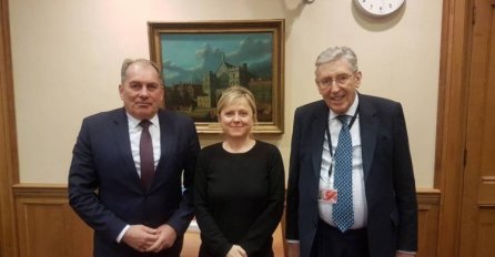 Mektić sa britanskim lordovima: Potreba jačanja borbe protiv korupcije u BiH