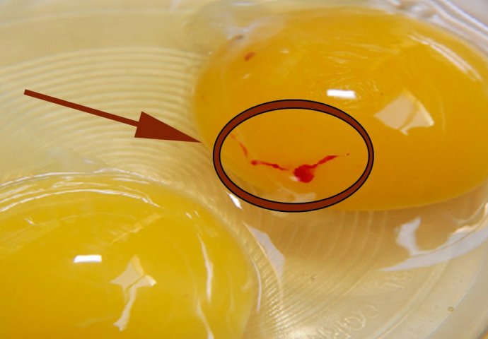 JESU LI SIGURNA ZA JELO? Znate li zašto žumanjak jajeta ponekad ima krvavu tačku?
