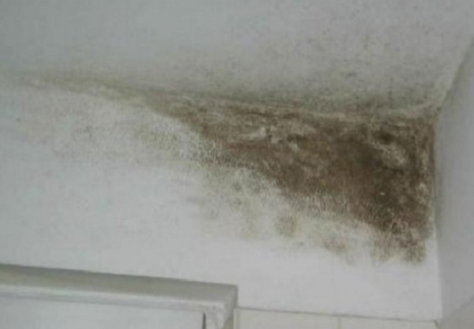 ZA SAMO 3 MINUTA SVA BUĐ IZ DOMA NESTAJE: U Njemačkoj imamo jednu tehniku koja zaista djeluje! 