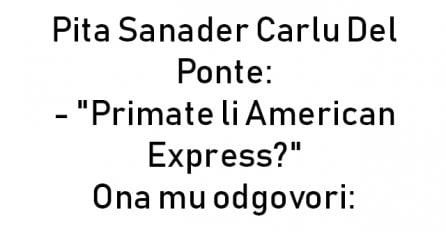 VIC : Pita Sanader Carlu Del Ponte: