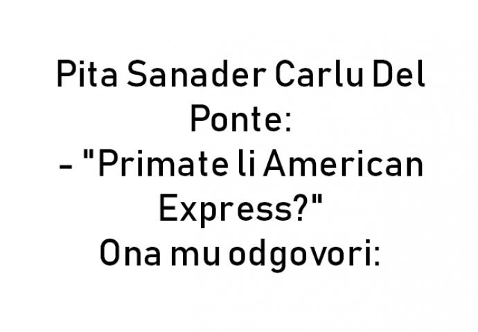 VIC : Pita Sanader Carlu Del Ponte: