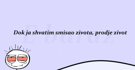 Dok ja shvatim smisao zivota, prodje zivot.