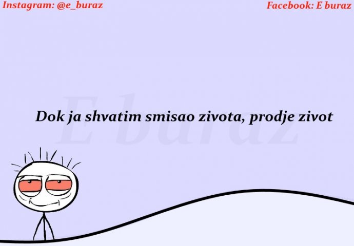 Dok ja shvatim smisao zivota, prodje zivot.