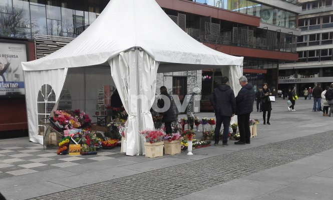 28810506-1253151244818354-654316803-o