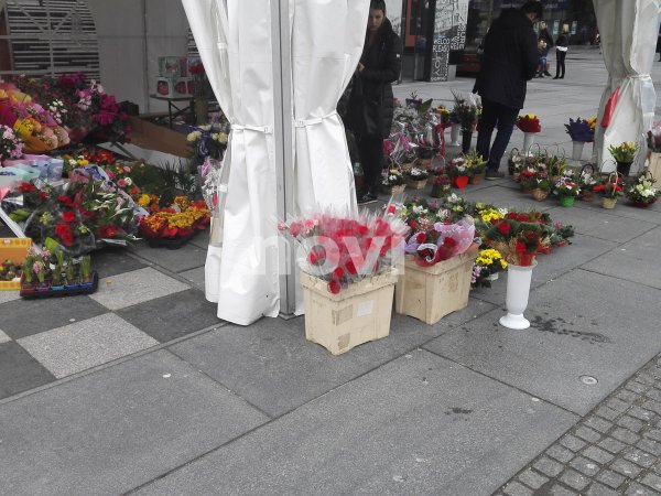 28810535-1253151238151688-763952352-o