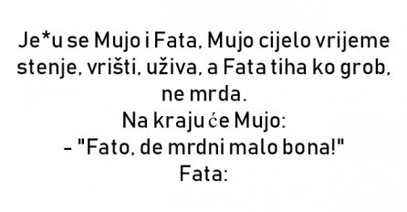 VIC : Je*u se Mujo i Fata, Mujo cijelo vrijeme stenje, vrišti, uživa, a Fata tiha ko grob, ne mrda.