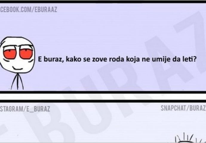 E buraz, kako se zove roda koja ne umije da leti?