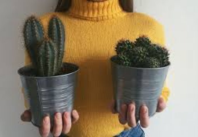 Ove stvari prizivaju SIROMAŠTVO I NESREĆU: Izbacite ih iz kuće ODMAH! 