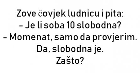 VIC: Zove čovjek ludnicu i pita: