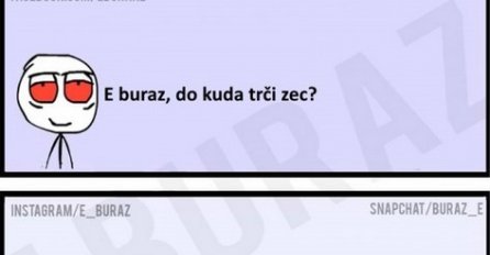 E buraz, do kuda trči zec?