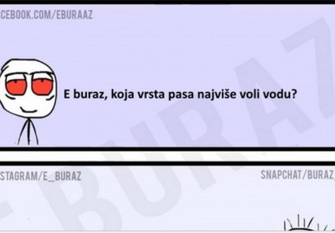 E buraz, koja vrsta pasa najviše voli vodu?