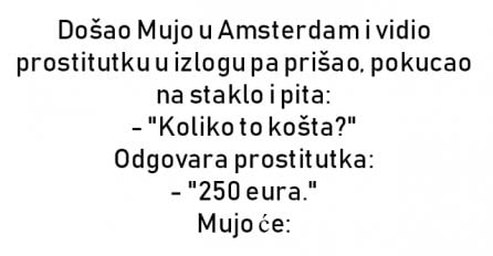 VIC : Došao Mujo u Amsterdam i vidio prostitutku u izlogu pa prišao, pokucao na staklo i pita: