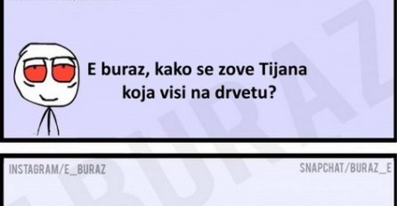 E buraz, kako se zove Tijana koja visi na drvetu?