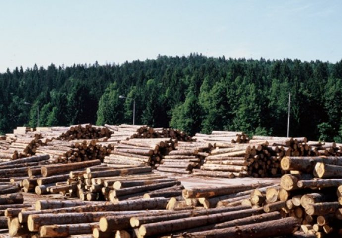 Prošlogodišnja proizvodnja šumskih sortimenata manja za 4,83 posto